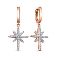 120579 Серьги (Au 585)