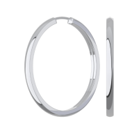 0210026-00245 Серьги (Ag 925)