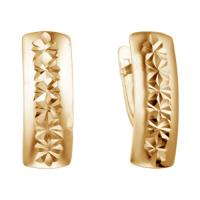 220281 Серьги (Au585)