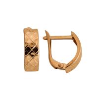 АС-731_b-001 Серьги (Au 585)