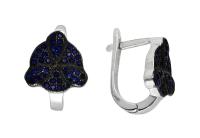 е-00000954098 Серьги (Ag 925)