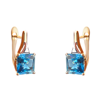 21804563 Серьги Au 585