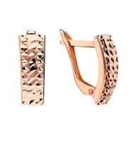 АС-298 Серьги (Au 585)