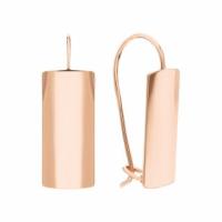 Т100027597 Серьги (Au 585)