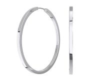 0210038-00245 Серьги (Ag 925)