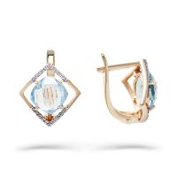 21801364 Серьги (Au 585)