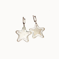 3503кс Серьги Ag 925