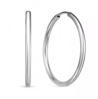 с520123/40 Серьги (Ag 925)