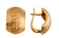 с-326 Серьги (Au 585)