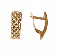 АС-305 Серьги (Au 585)