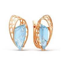 21802116 Серьги (Au 585)