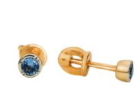 11610637 Серьги (Au 585)