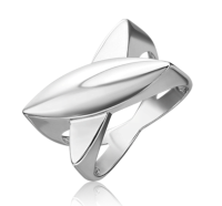 01-5579-00-000-0200 Кольцо (Ag 925)