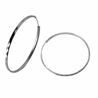 23100010732 Серьги (Ag 925)