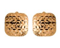 ACD-723_b-001 Серьги (Au 585)