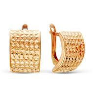 ас-283 Серьги (Au 585)