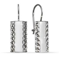 с220269 Серьги (Ag 925)