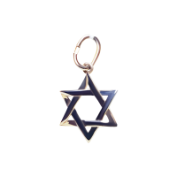 3-0847 Подвеска Au 585