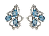 2041549 Серьги (Ag 925)