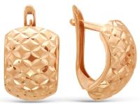 АС-549_b-001 Серьги (Au 585)