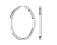 0210034-00245 Серьги (Ag 925)