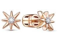 050169 Серьги (Au 585)