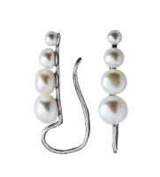 251-0758-21 Серьги (Ag 925)