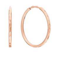 72352 Серьги (Au 585)