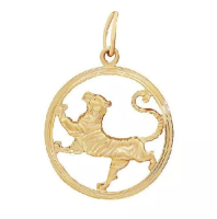 Т100032616 Подвеска (Au 585)