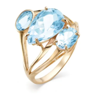 01-1-420-01 Кольцо (Au 585)