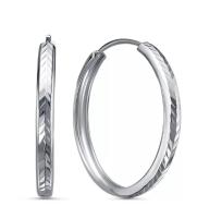 с520141/25 Серьги (Ag 925)