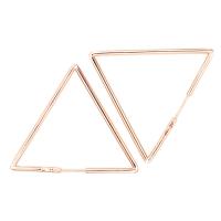 27-30-01 Серьги (Au 585)