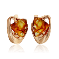 02-4675-00-271-1110-46 №22 34 Серьги (585)