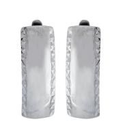 С220259 Серьги (Ag 925)