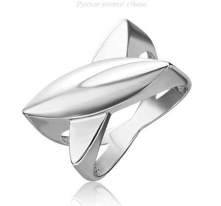 01-5579-00-000-0200 Кольцо (Ag 925)