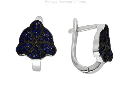 е-00000954098 Серьги (Ag 925)