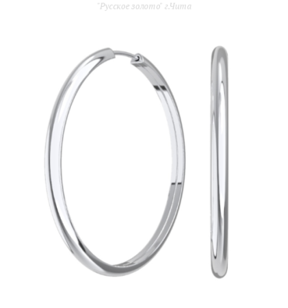 0210029-00245 Серьги (Ag 925)