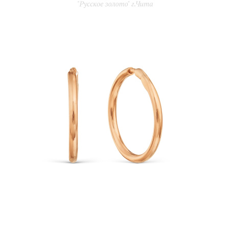 Т100021200 Серьги (Au 585)