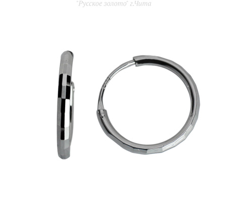 231000040 Серьги (Ag 925)